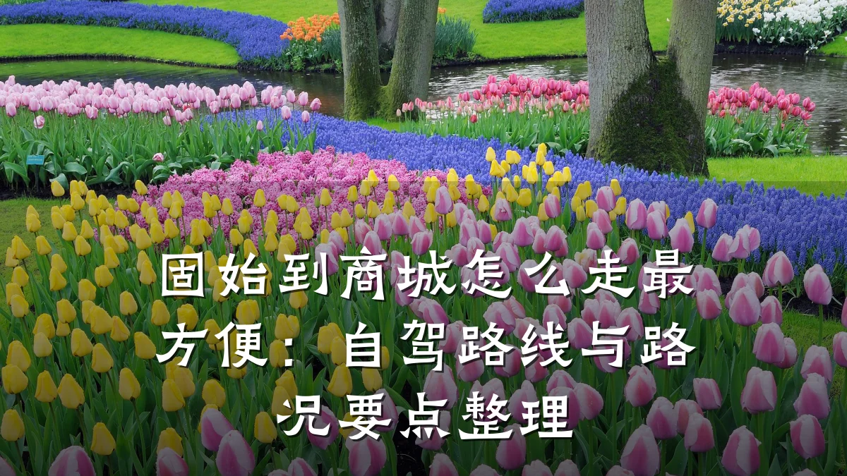 固始到商城怎么走最方便：自驾路线与路况要点整理