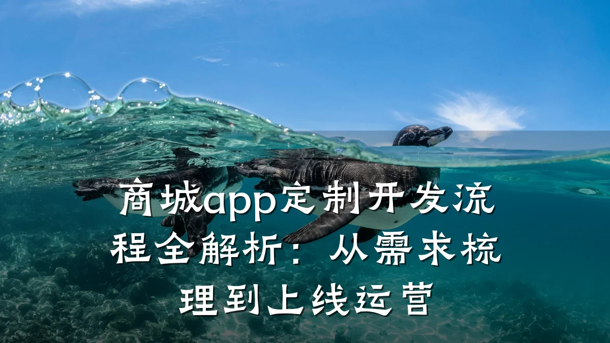 商城app定制开发流程全解析:从需求梳理到上线运营