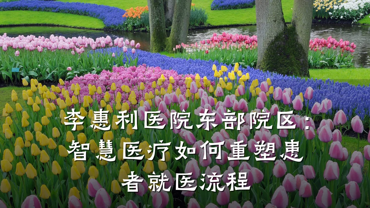 李惠利医院东部院区:智慧医疗如何重塑患者就医流程