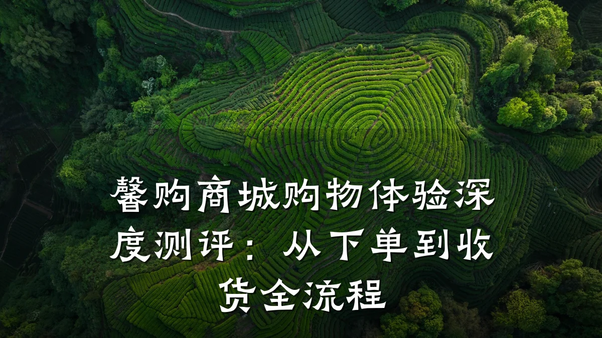 馨购商城购物体验深度测评:从下单到收货全流程