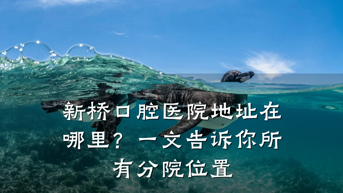 新桥口腔医院地址在哪里?一文告诉你所有分院位置