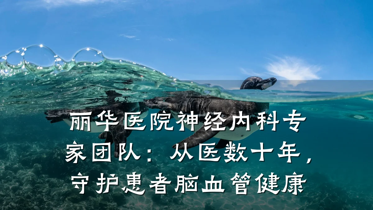 丽华医院神经内科专家团队:从医数十年,守护患者脑血管健康