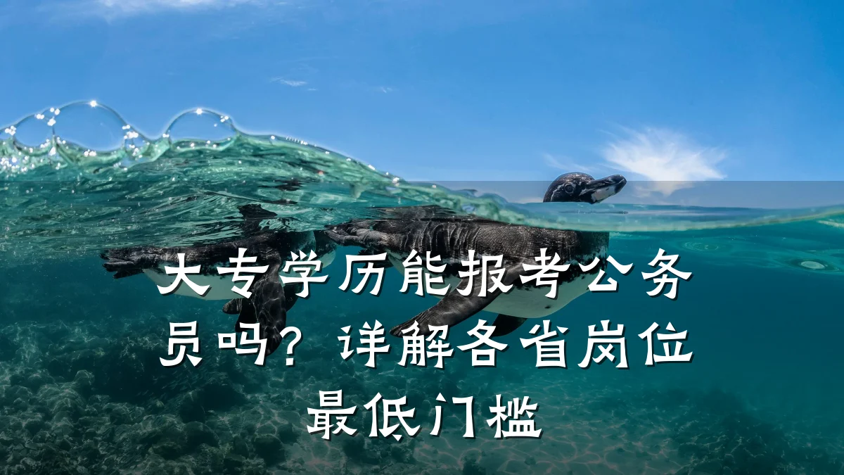 大专学历能报考公务员吗？详解各省岗位最低门槛