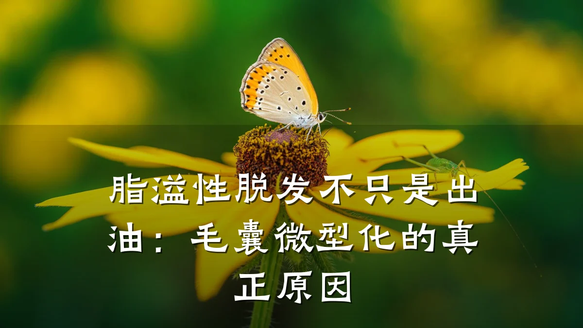 脂溢性脱发不只是出油：毛囊微型化的真正原因