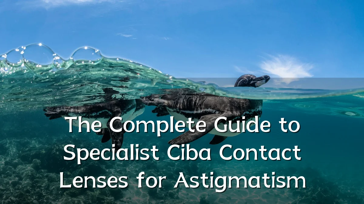 The Complete Guide to Specialist Ciba Contact Lenses for Astigmatism