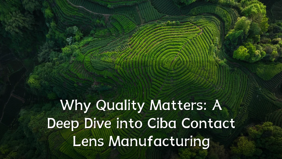 Why Quality Matters: A Deep Dive into Ciba Contact Lens Manufacturing