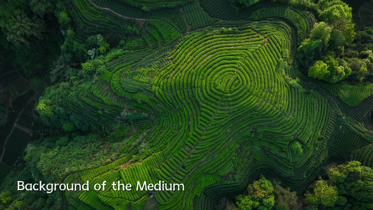 Background of the Medium