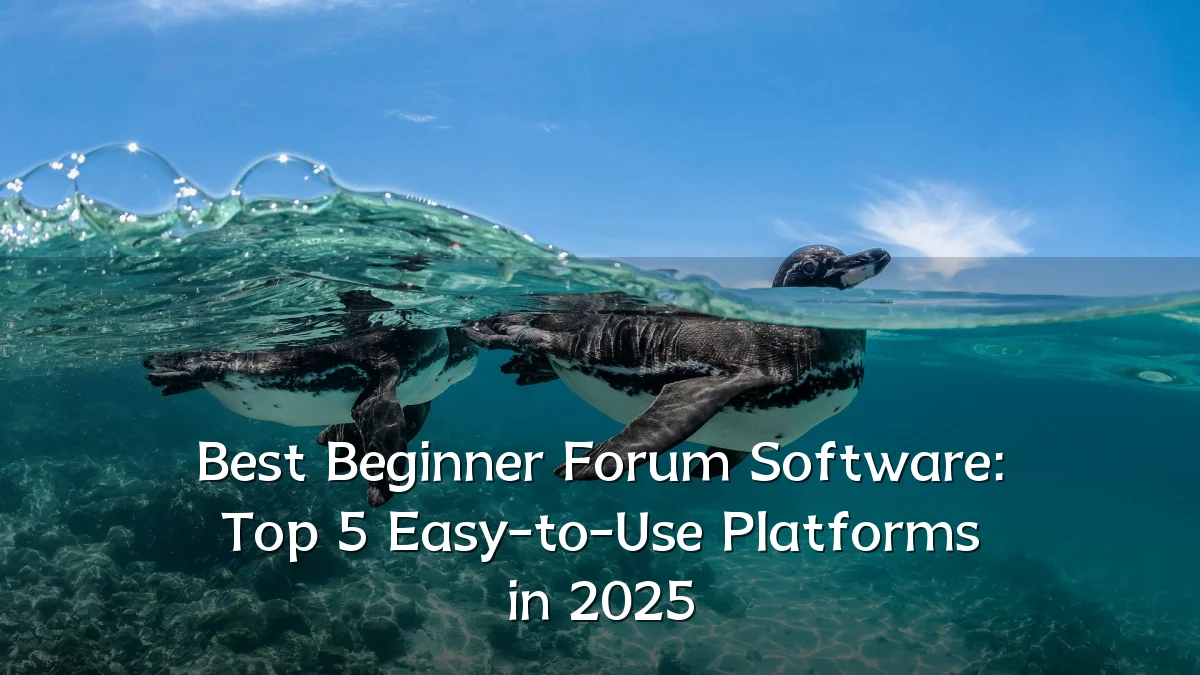 Best Beginner Forum Software: Top 5 Easy-to-Use Platforms in 2025