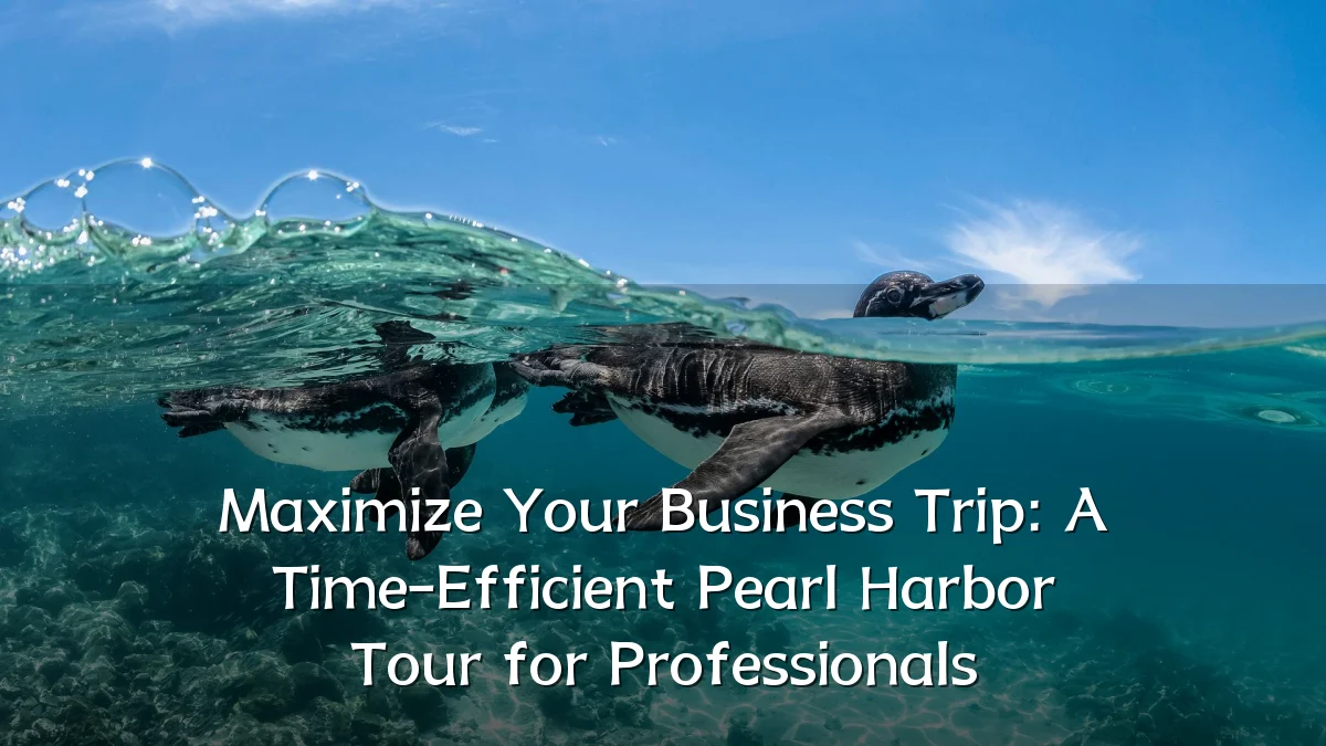 Maximize Your Business Trip: A Time-Efficient Pearl Harbor Tour for Professionals