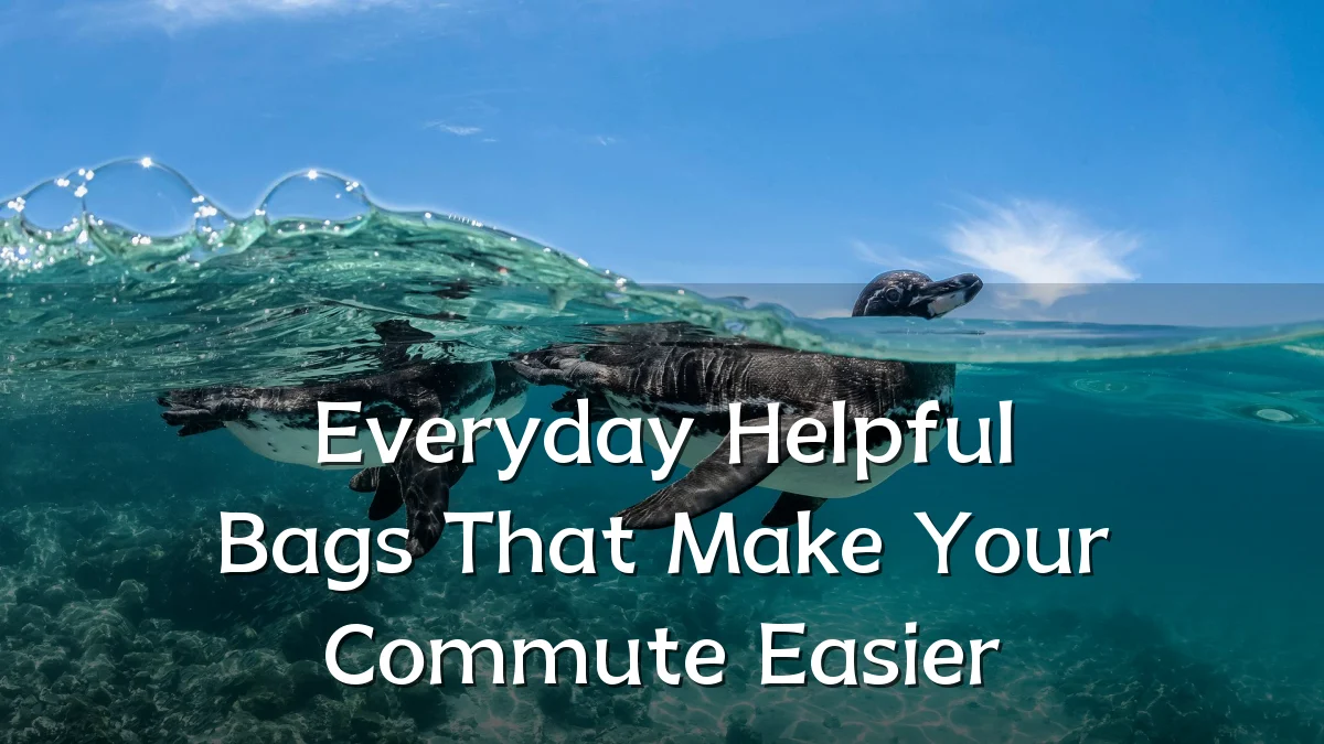 Everyday Helpful Bags That Make Your Commute Easier