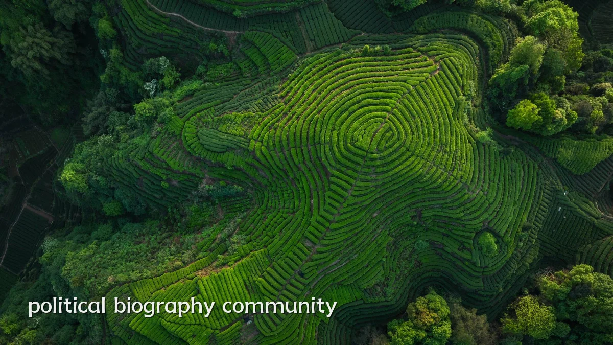 political biography community