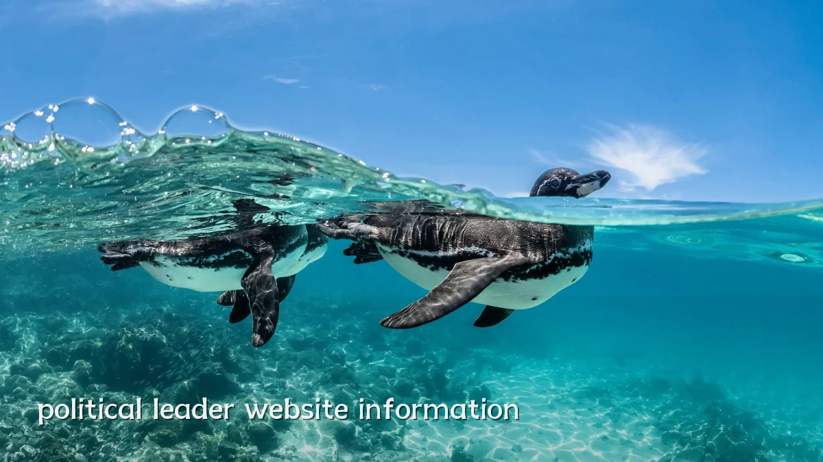 political leader website information
