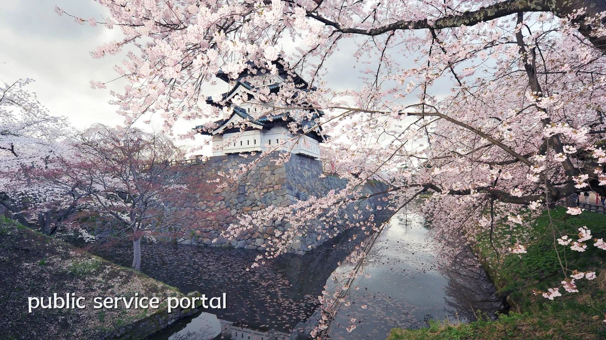 public service portal