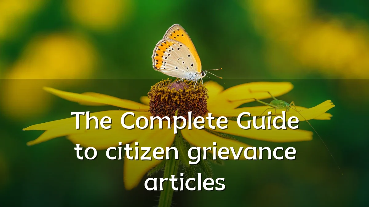 The Complete Guide to citizen grievance articles