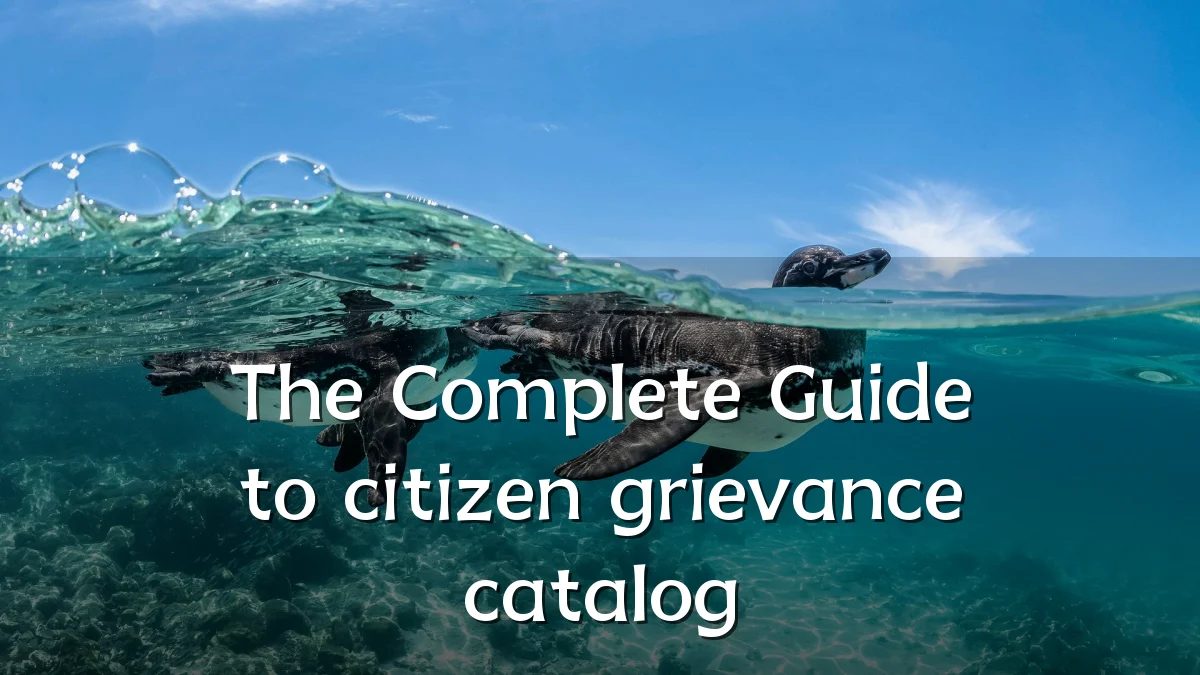 The Complete Guide to citizen grievance catalog
