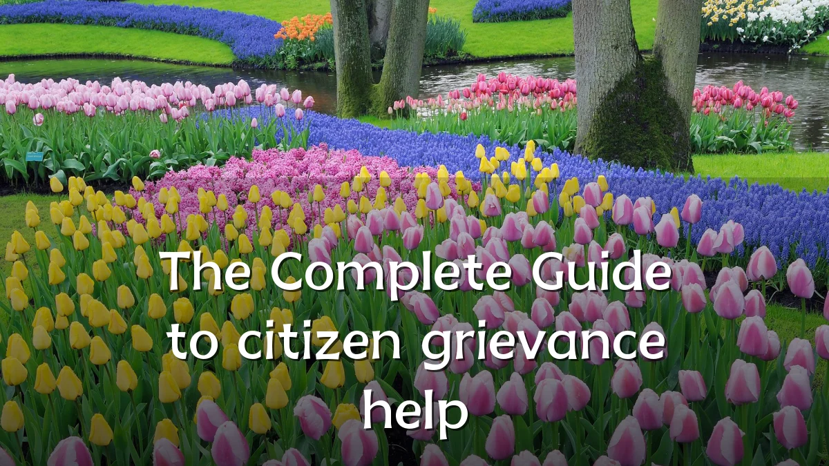 The Complete Guide to citizen grievance help