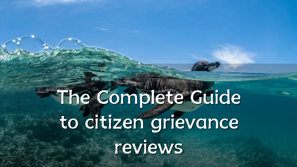 The Complete Guide to citizen grievance reviews