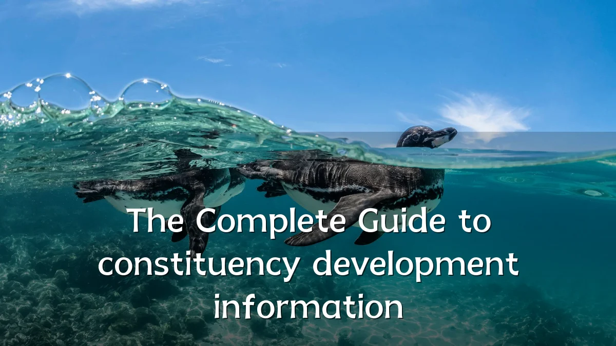 The Complete Guide to constituency development information
