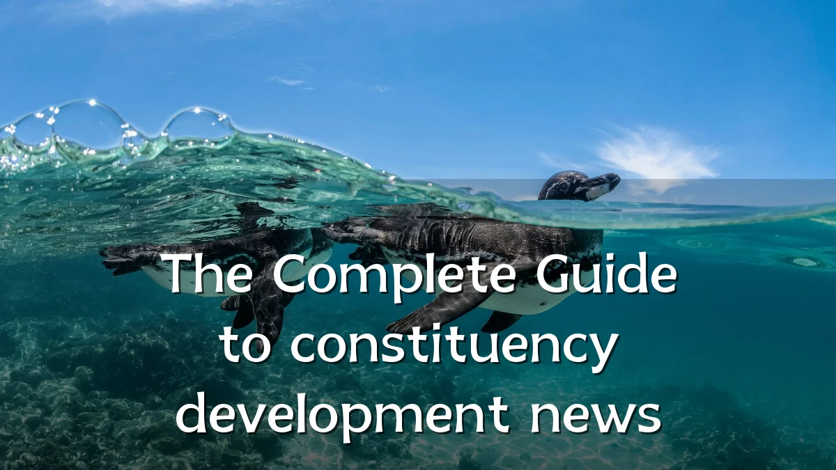 The Complete Guide to constituency development news