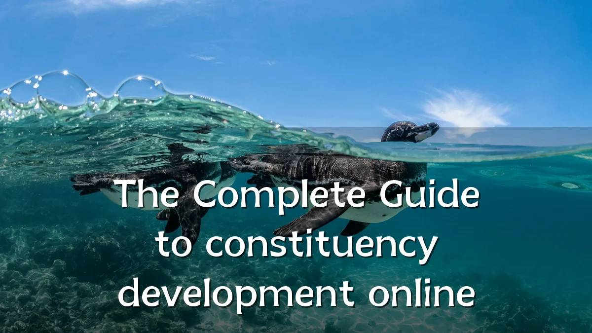 The Complete Guide to constituency development online
