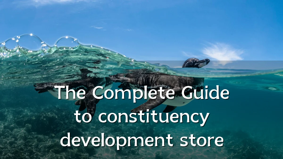 The Complete Guide to constituency development store