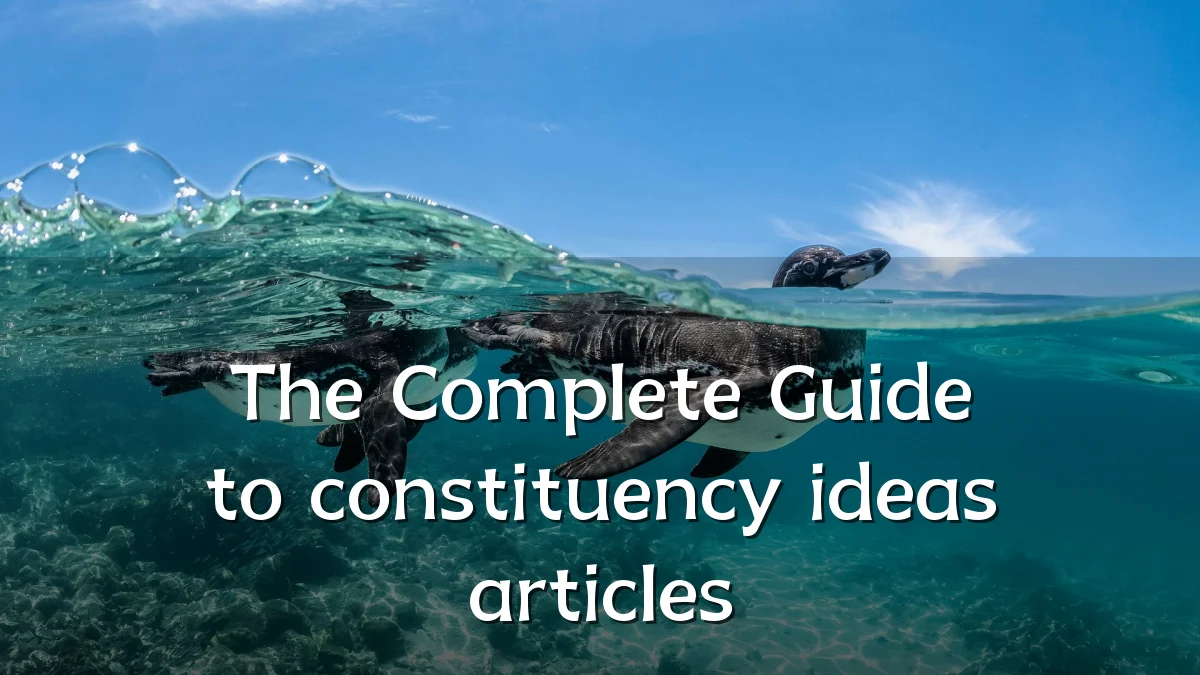 The Complete Guide to constituency ideas articles