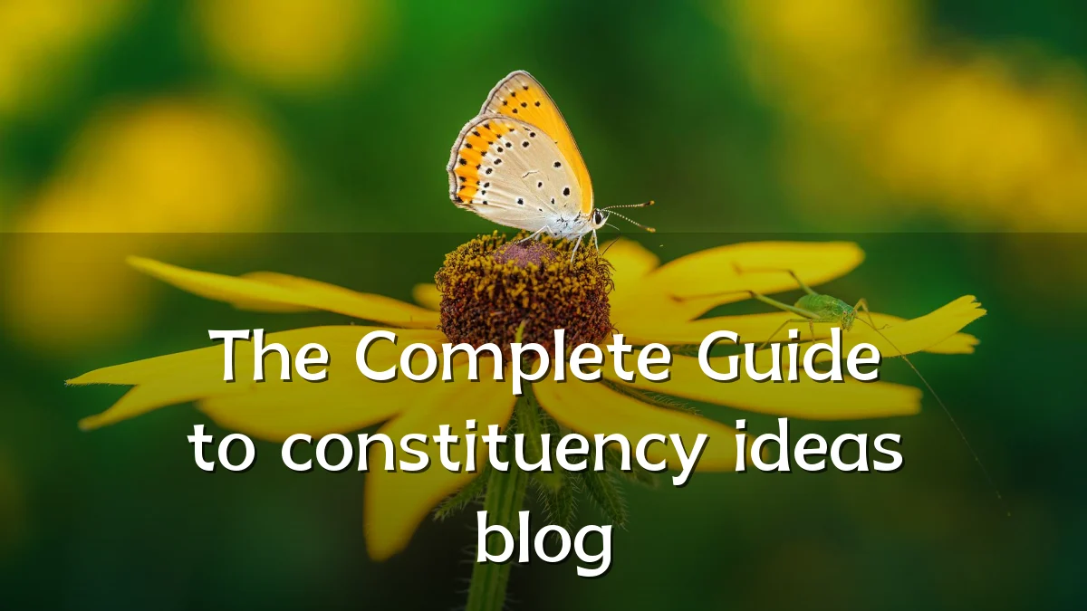 The Complete Guide to constituency ideas blog