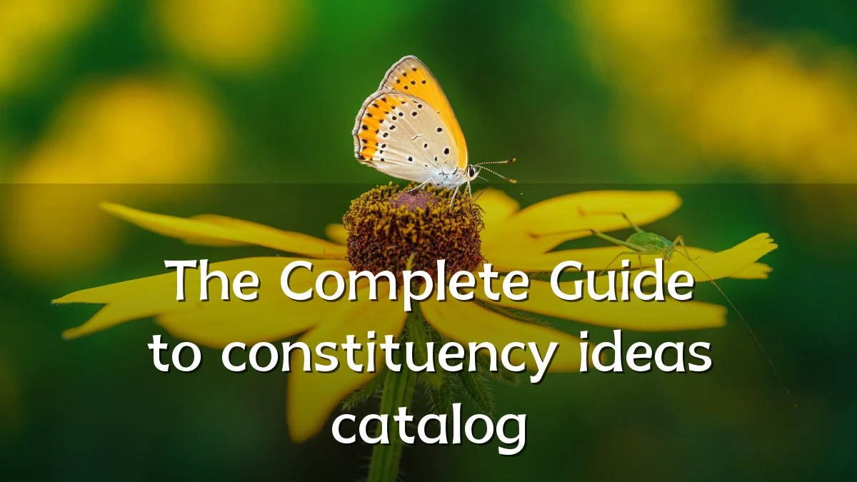 The Complete Guide to constituency ideas catalog