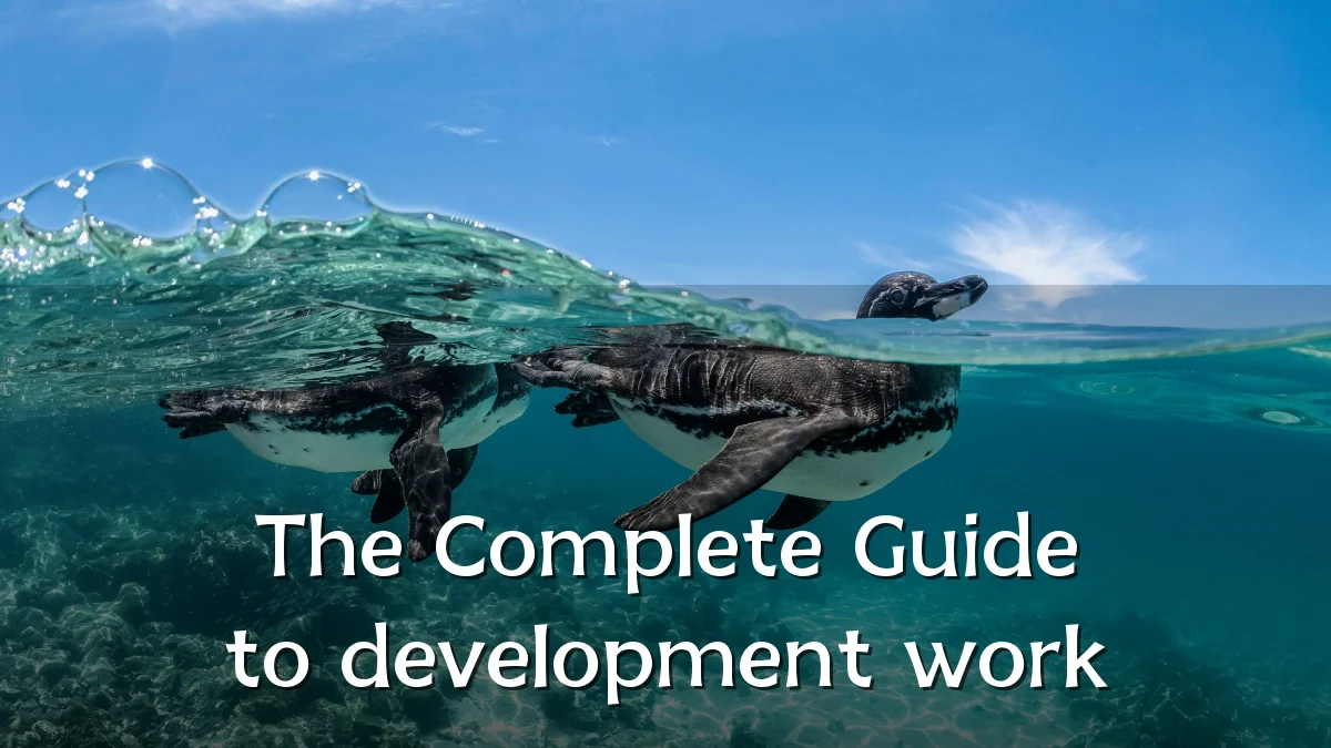 The Complete Guide to development work