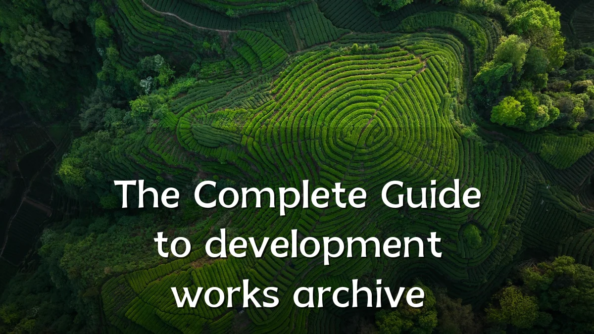 The Complete Guide to development works archive