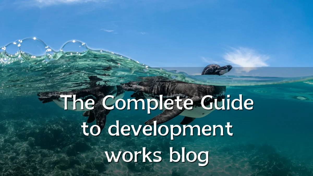 The Complete Guide to development works blog