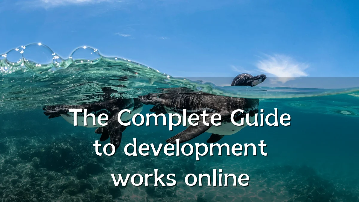 The Complete Guide to development works online