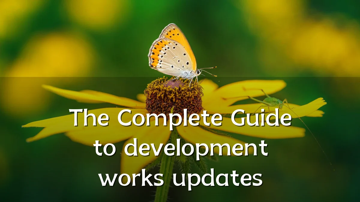 The Complete Guide to development works updates