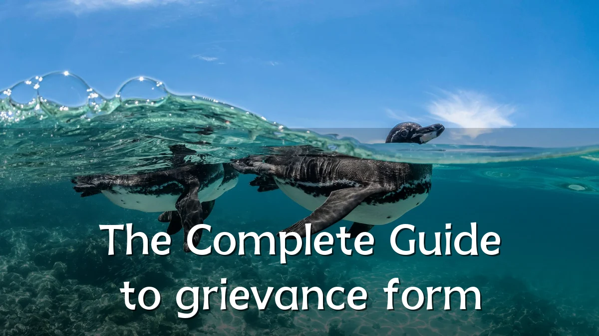 The Complete Guide to grievance form