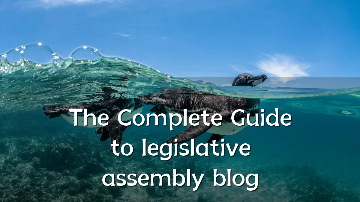 The Complete Guide to legislative assembly blog