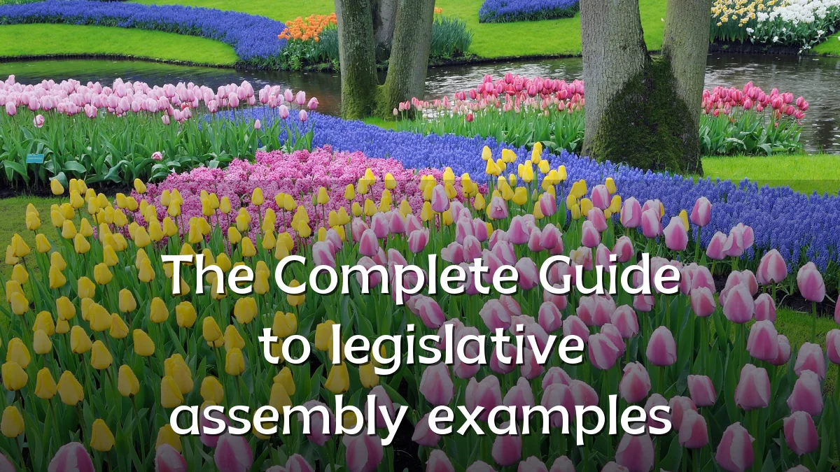 The Complete Guide to legislative assembly examples