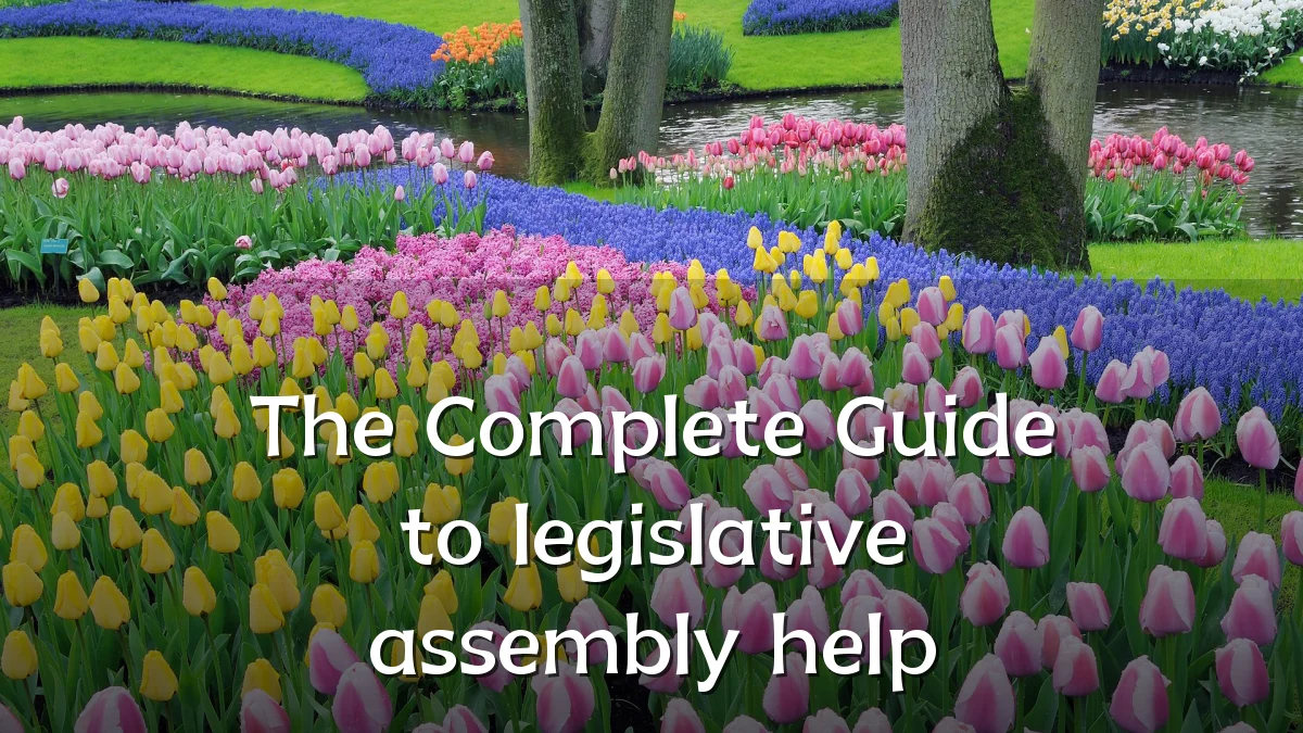 The Complete Guide to legislative assembly help