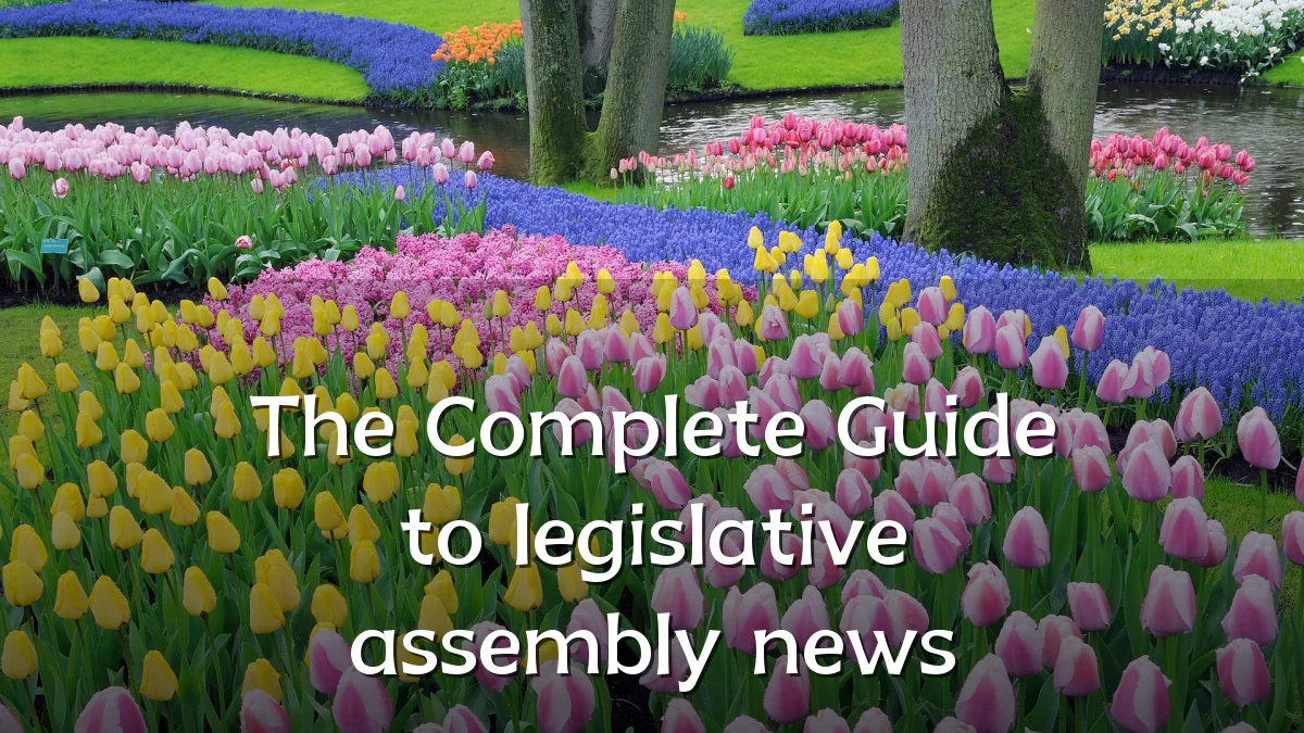 The Complete Guide to legislative assembly news