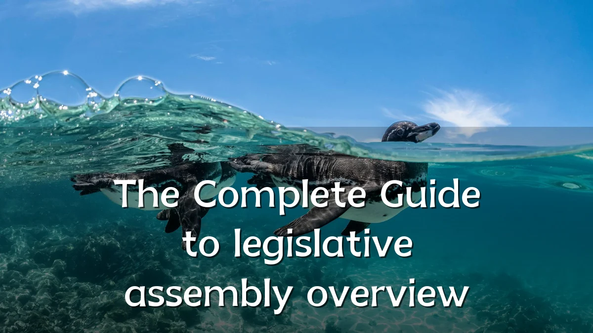 The Complete Guide to legislative assembly overview