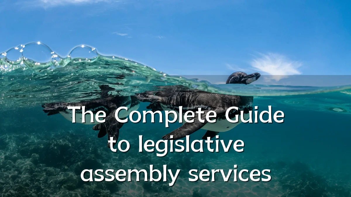 The Complete Guide to legislative assembly services