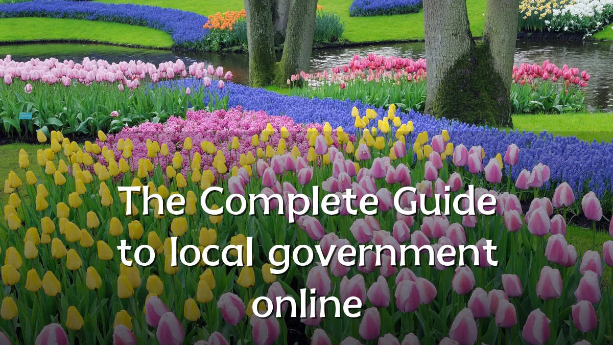 The Complete Guide to local government online