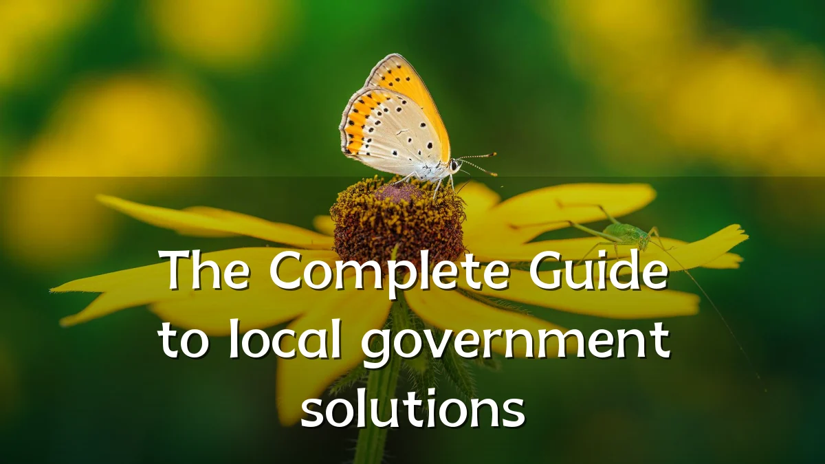 The Complete Guide to local government solutions