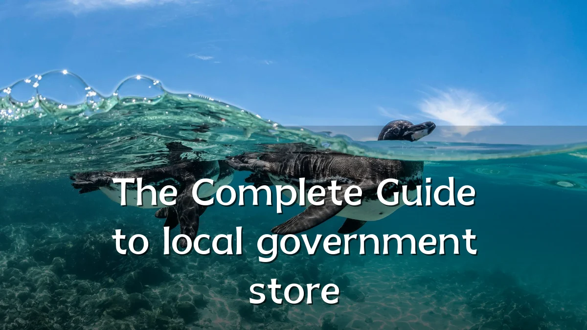 The Complete Guide to local government store
