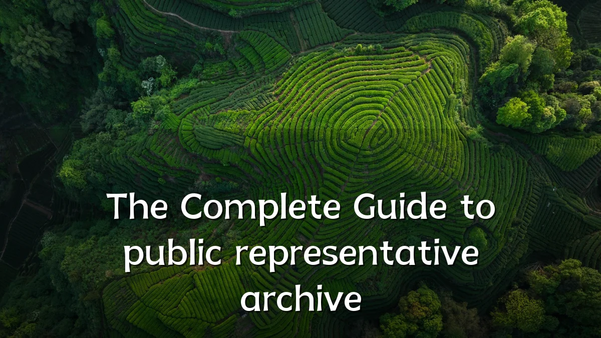 The Complete Guide to public representative archive