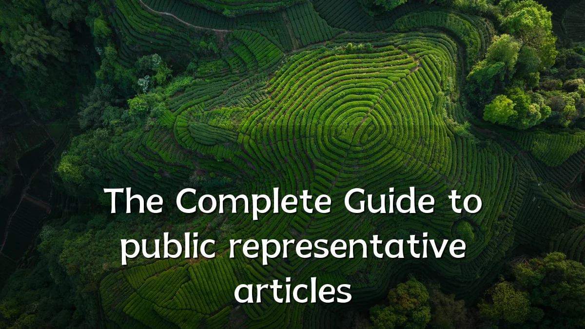 The Complete Guide to public representative articles