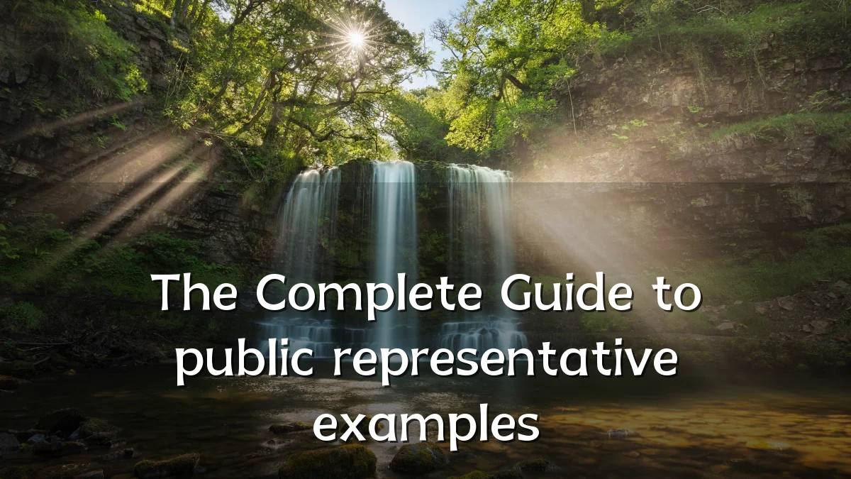 The Complete Guide to public representative examples