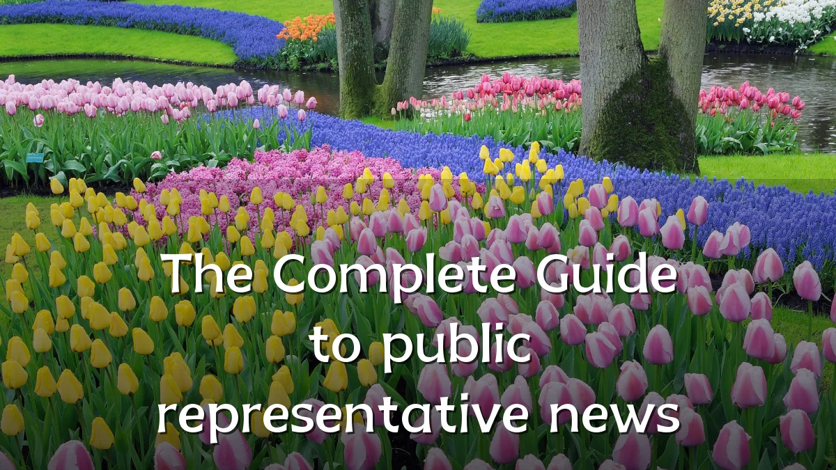 The Complete Guide to public representative news