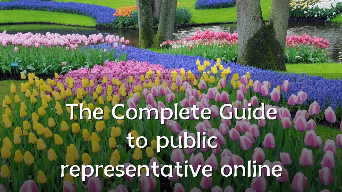 The Complete Guide to public representative online