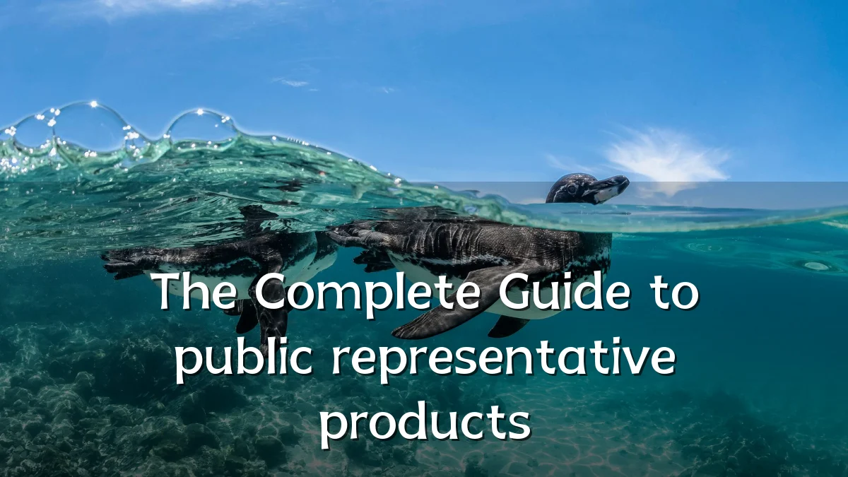 The Complete Guide to public representative products