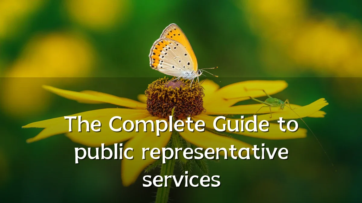 The Complete Guide to public representative services